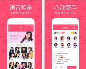 cnf91直播,揭秘科技前沿，畅享无限创意盛宴